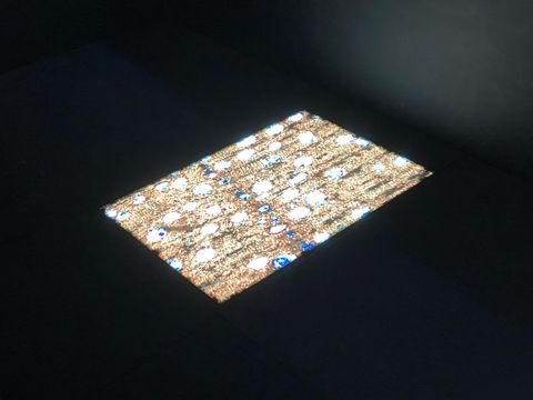 無綫新聞 TVB News