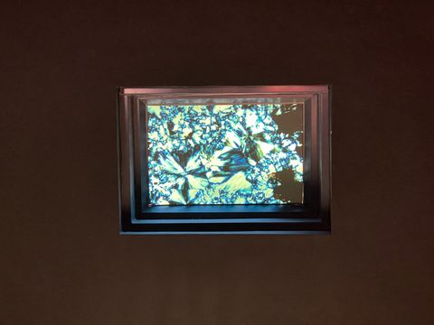 無綫新聞 TVB News