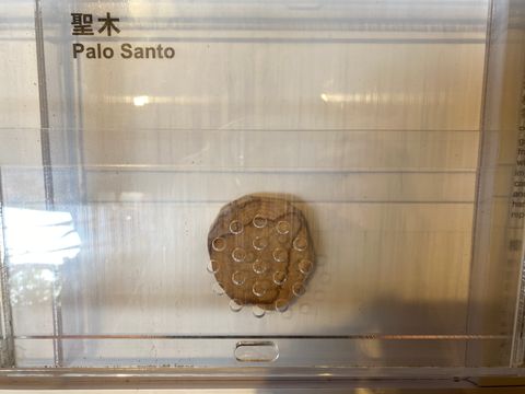 無綫新聞 TVB News