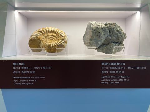 無綫新聞 TVB News