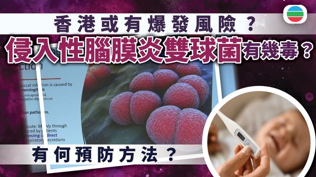 侵入性腦膜炎雙球菌有幾毒?有何預防方法?|延伸閱讀 侵入性腦膜炎雙球菌有幾毒?有何預防方法?|延伸閱讀