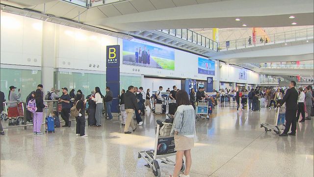 女子涉企圖偷運約7公斤懷疑大麻花入境　被海關拘捕