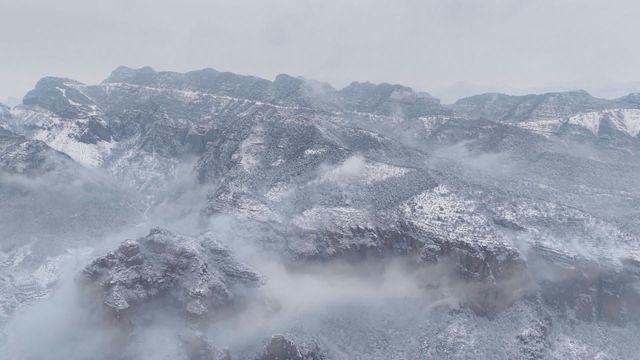 無綫新聞 TVB News