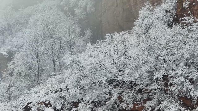 無綫新聞 TVB News