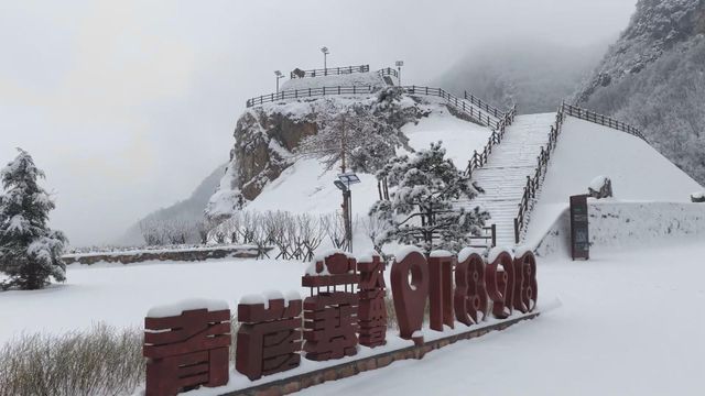 無綫新聞 TVB News