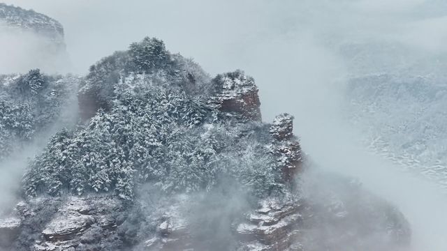 無綫新聞 TVB News