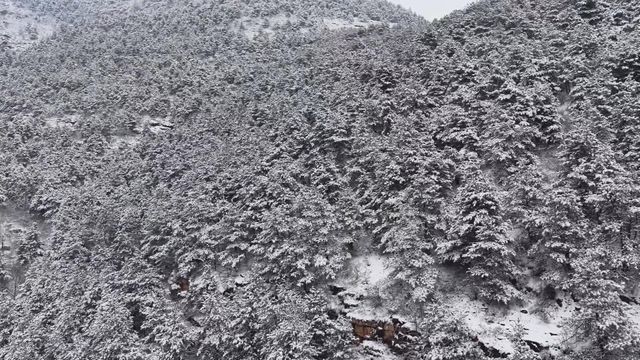 無綫新聞 TVB News