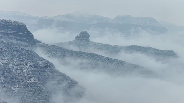 無綫新聞 TVB News