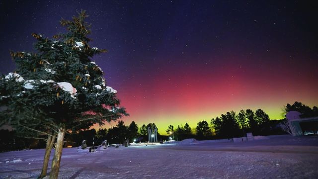 無綫新聞 TVB News