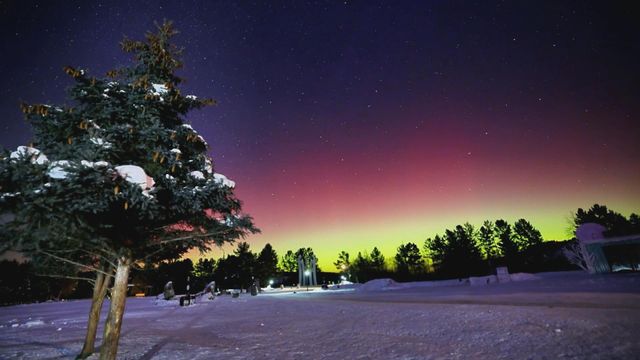 無綫新聞 TVB News