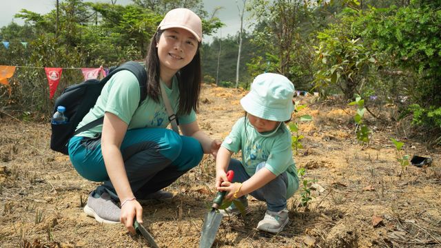 漁護署下月一連兩個周日舉辦郊野公園遠足植樹日