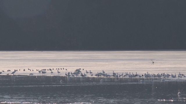 無綫新聞 TVB News 無綫新聞 TVB News