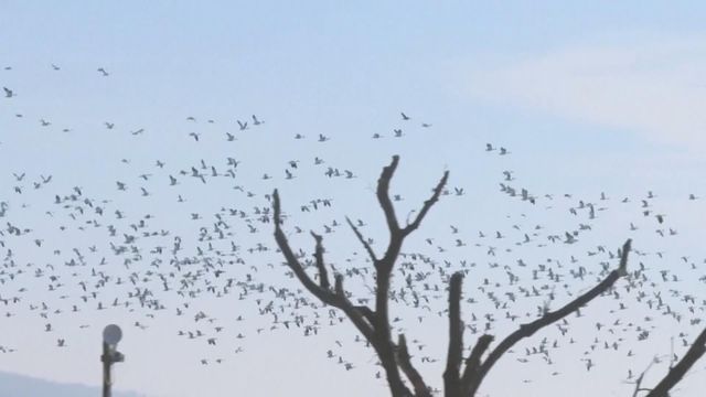 無綫新聞 TVB News 無綫新聞 TVB News