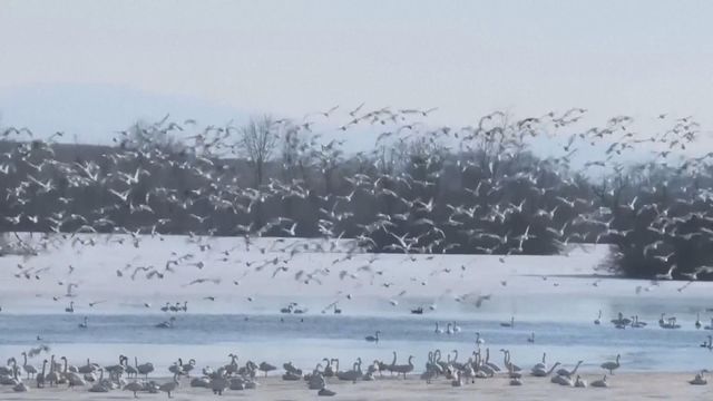 無綫新聞 TVB News 無綫新聞 TVB News