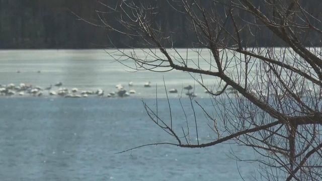 無綫新聞 TVB News 無綫新聞 TVB News