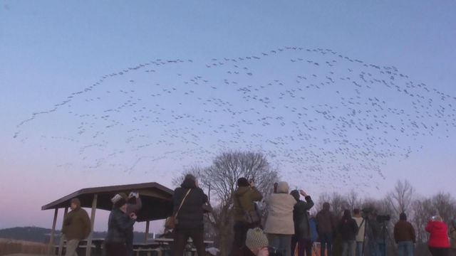 無綫新聞 TVB News 無綫新聞 TVB News