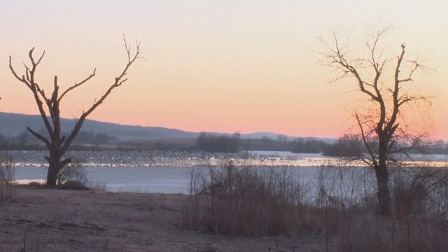 無綫新聞 TVB News 無綫新聞 TVB News