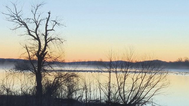 無綫新聞 TVB News 無綫新聞 TVB News