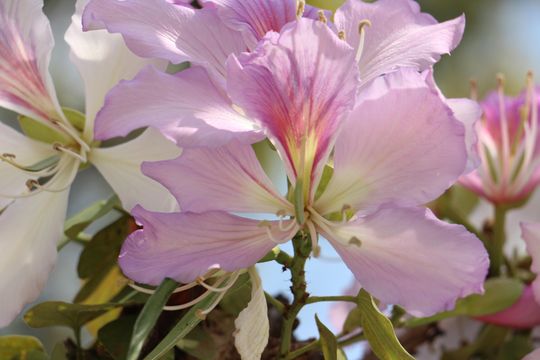 無綫新聞 TVB News