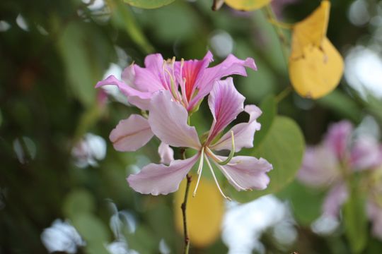 無綫新聞 TVB News