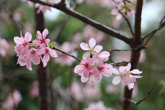 無綫新聞 TVB News