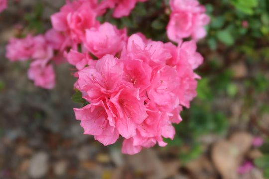 無綫新聞 TVB News