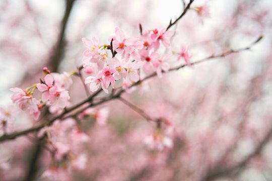 無綫新聞 TVB News