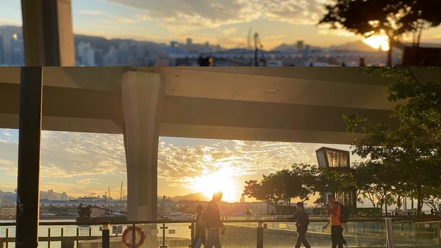 無綫新聞 TVB News