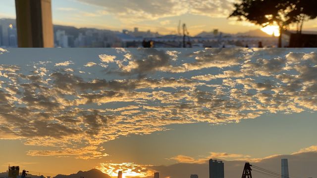 無綫新聞 TVB News