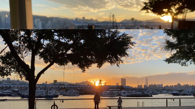 無綫新聞 TVB News