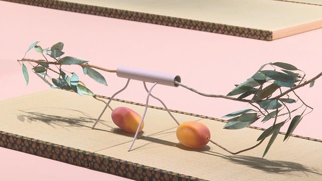 無綫新聞 TVB News