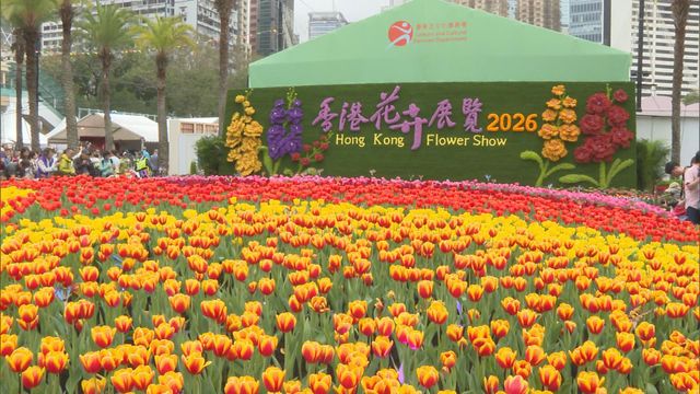 維園花展明日閉幕　康文署下周一免費派發逾三千盆可再種植花卉