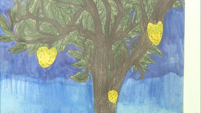 無綫新聞 TVB News