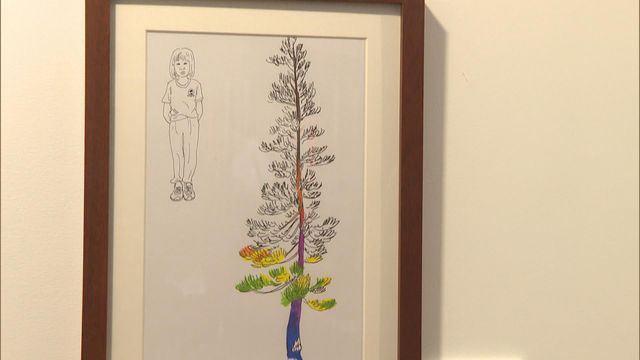 無綫新聞 TVB News