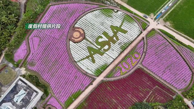 無綫新聞 TVB News 無綫新聞 TVB News