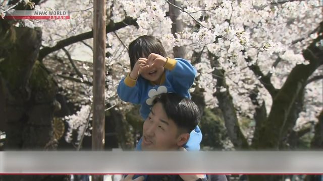 無綫新聞 TVB News