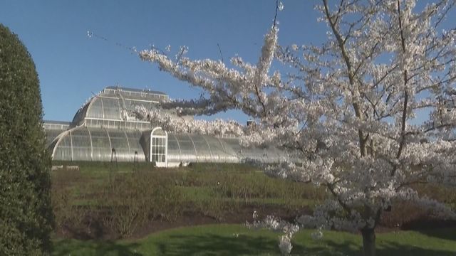 無綫新聞 TVB News