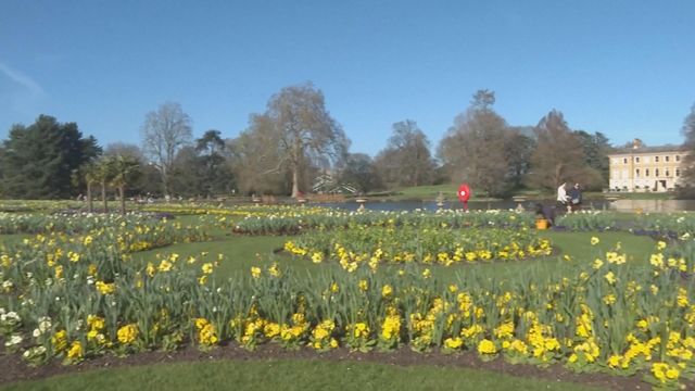 無綫新聞 TVB News