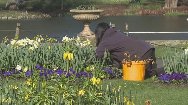 無綫新聞 TVB News