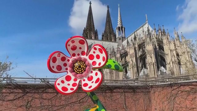 無綫新聞 TVB News