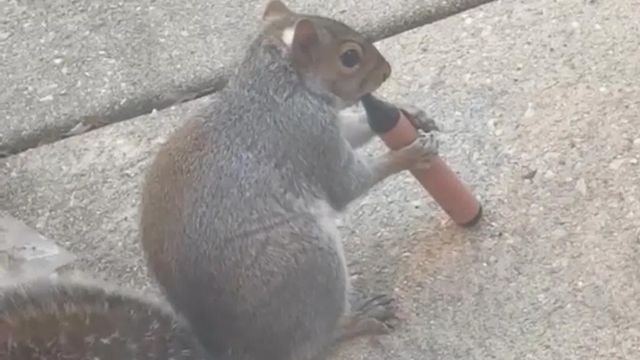 無綫新聞 TVB News