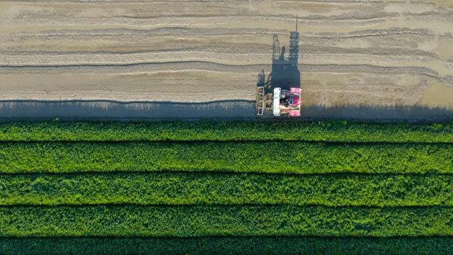 無綫新聞 TVB News