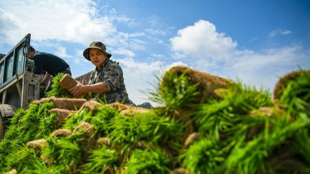 無綫新聞 TVB News