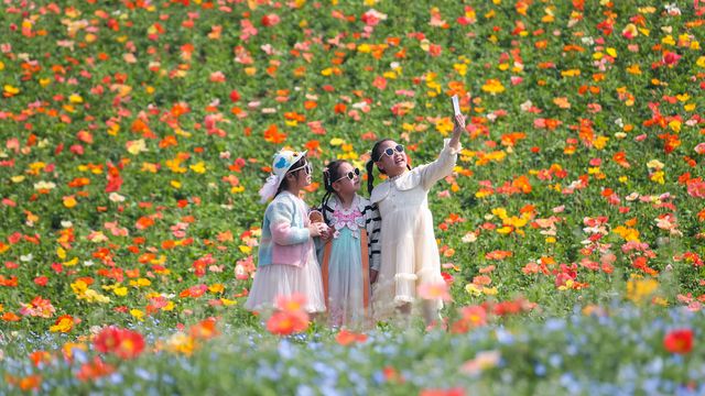 無綫新聞 TVB News