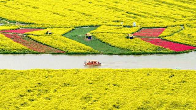 無綫新聞 TVB News