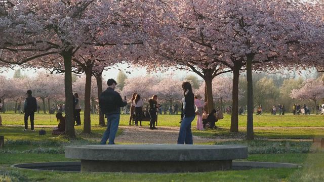 無綫新聞 TVB News