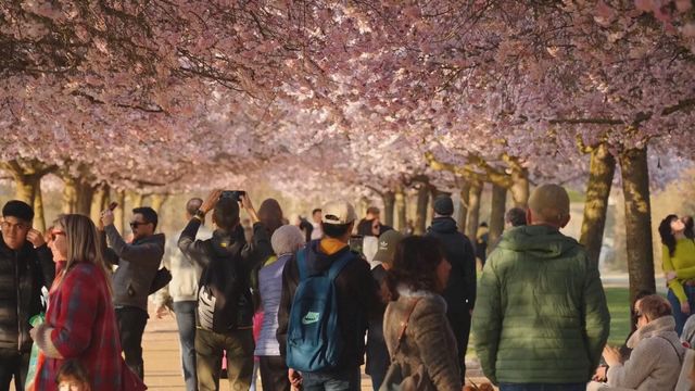 無綫新聞 TVB News