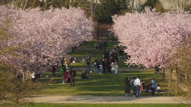 無綫新聞 TVB News