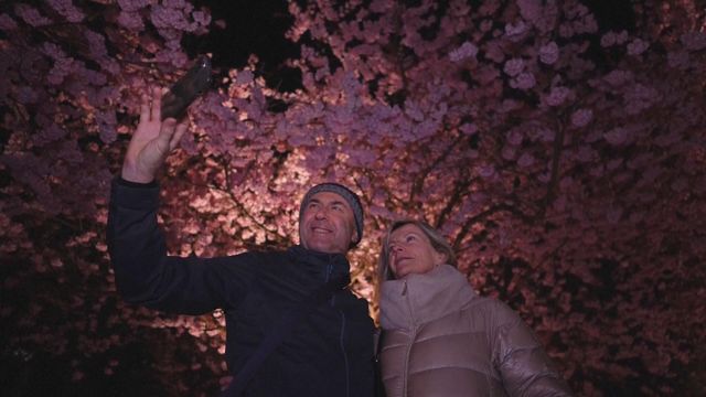 無綫新聞 TVB News