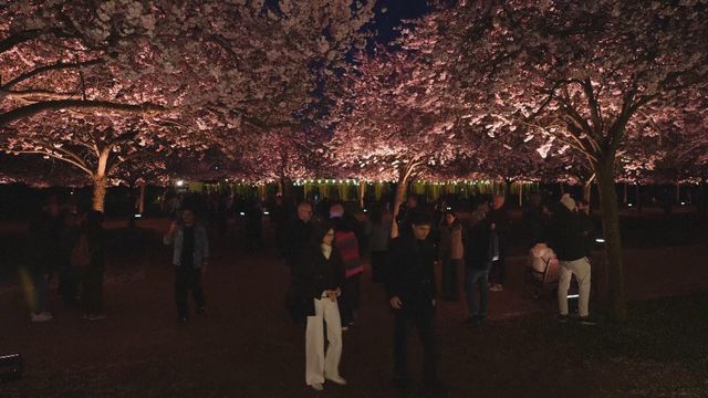 無綫新聞 TVB News